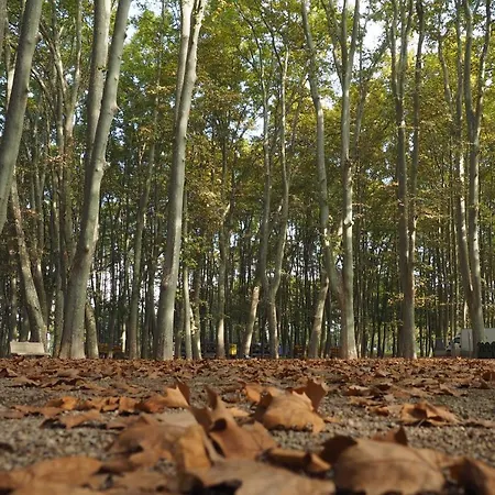 Catedral Appartement