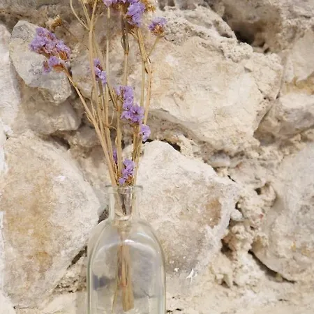 Catedral Χιρόνα